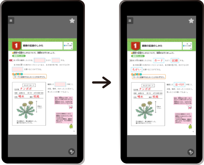 仕上げのテスト
