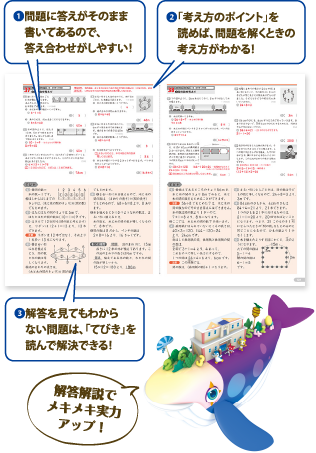 わかりやすい解答説明