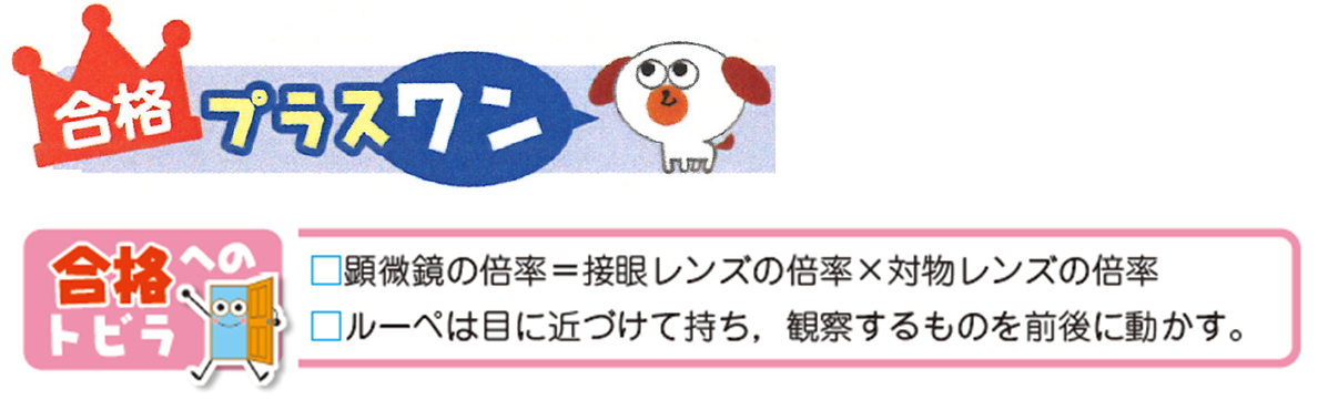 読んで確認！合格への道