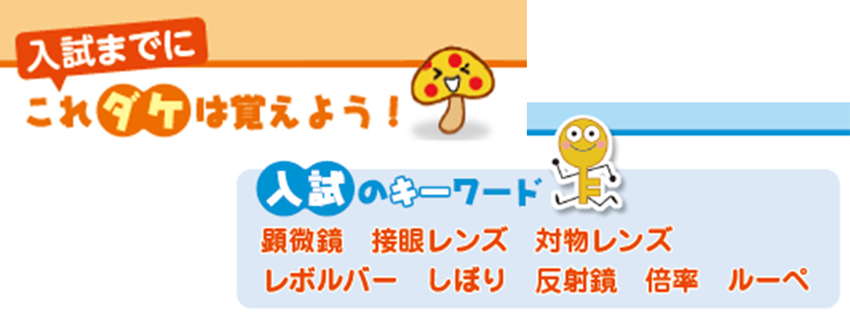 重要語句やキーワード確認。
