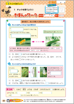 基本のワーク