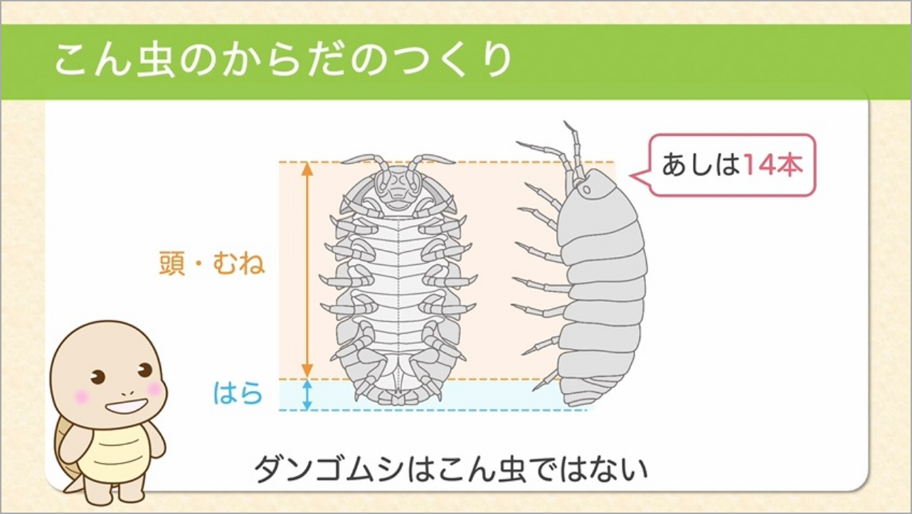 わくわく動画