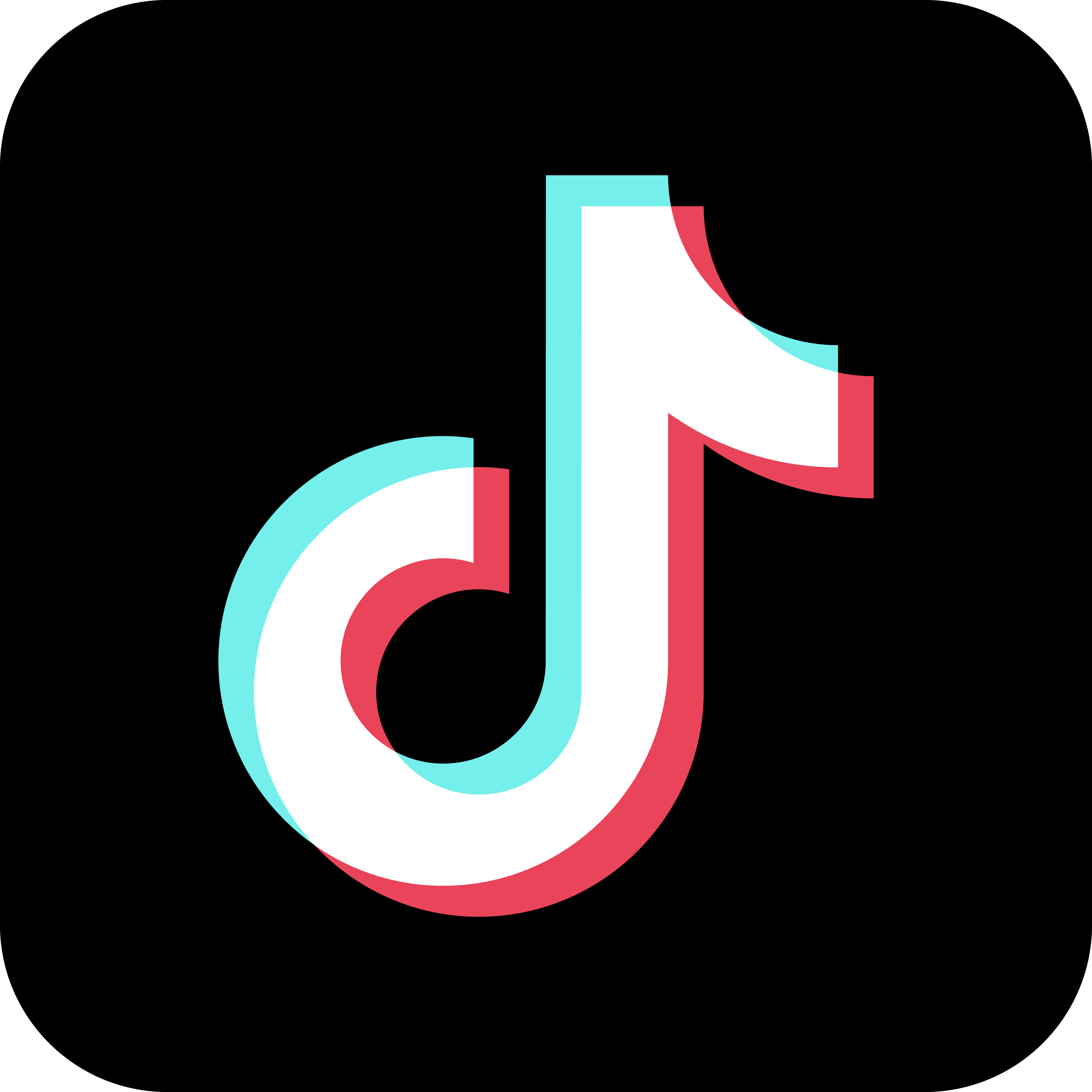 tiktokアイコン