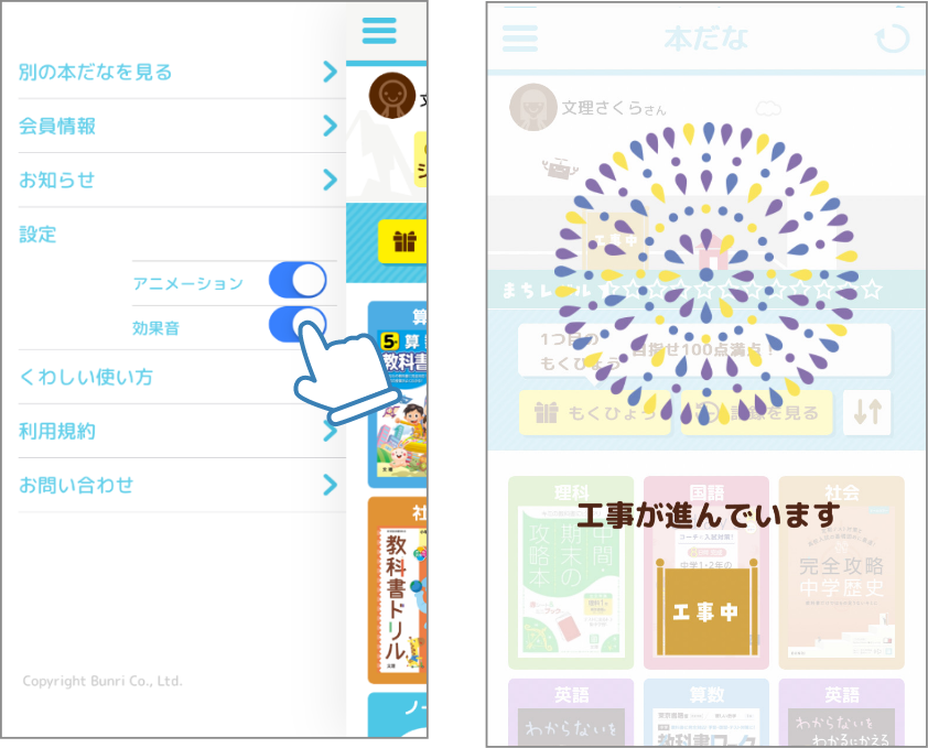 ステージが進んだときのアニメーション演出や効果音のON/OFFができます。