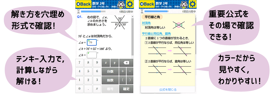 解き方を穴埋め形式で確認！数学は計算することがたいせつ！だからテンキー入力にしました。重要公式をその場で確認できる！カラーだから見やすく、わかりやすい！
