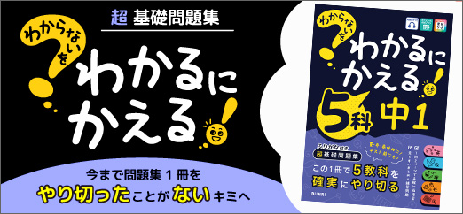 わからないをわかるにかえる 【学年別・領域別】 5科