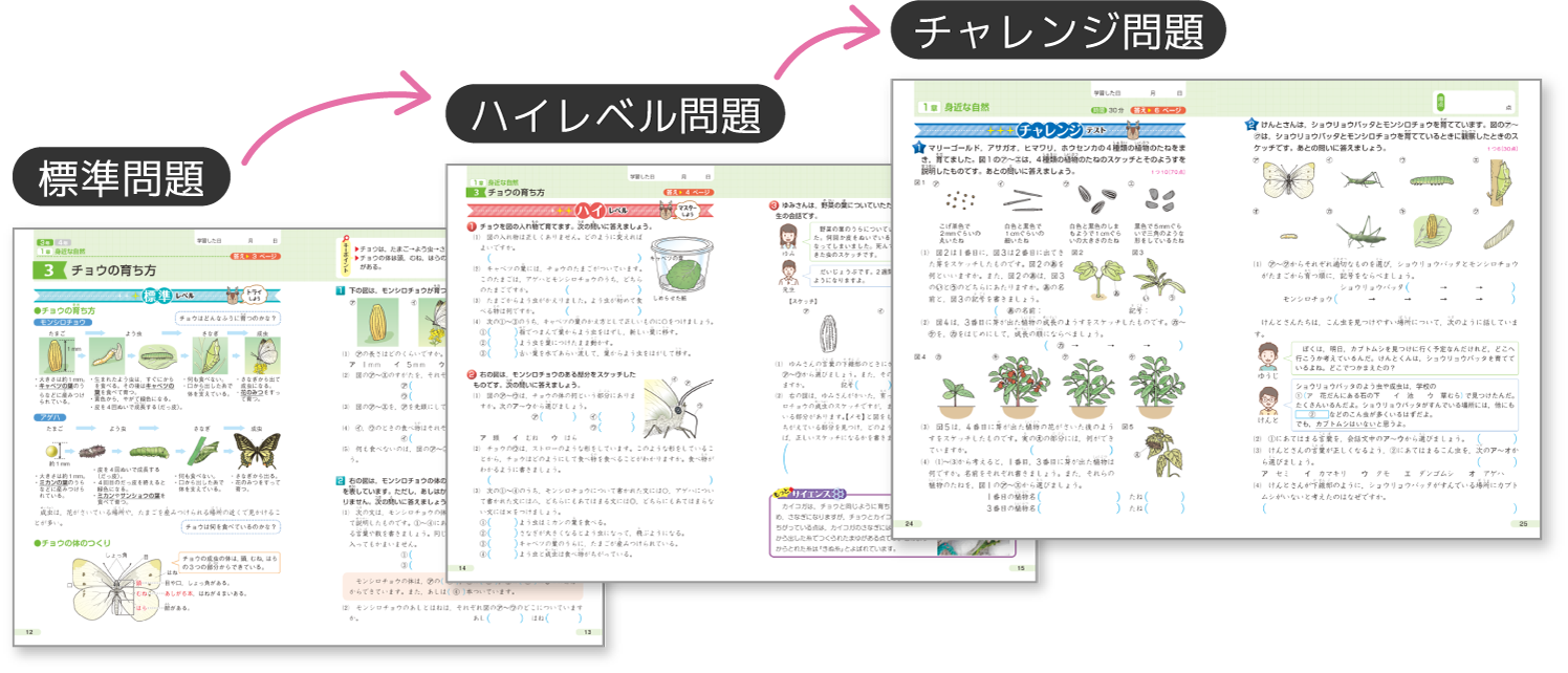 特長① ステップ学習